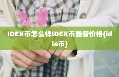 IDEX币怎么样IDEX币最新价格(idle币)