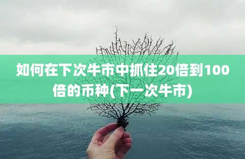 如何在下次牛市中抓住20倍到100倍的币种(下一次牛市)