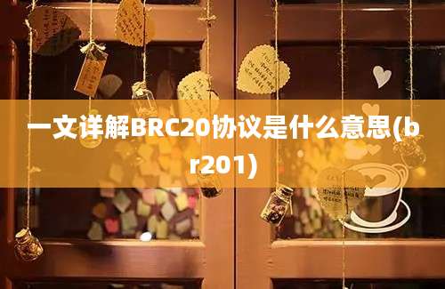 一文详解BRC20协议是什么意思(br201)