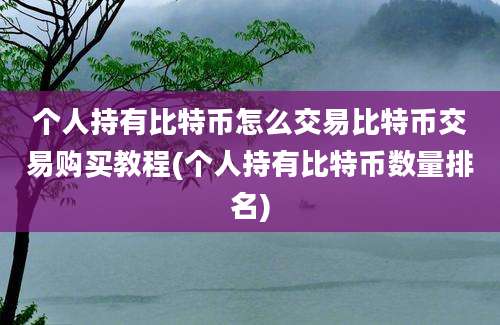 个人持有比特币怎么交易比特币交易购买教程(个人持有比特币数量排名)