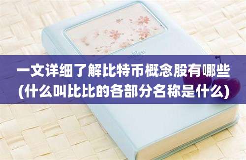 一文详细了解比特币概念股有哪些(什么叫比比的各部分名称是什么)