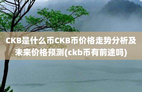 CKB是什么币CKB币价格走势分析及未来价格预测(ckb币有前途吗)