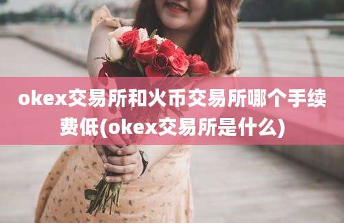 okex交易所和火币交易所哪个手续费低(okex交易所是什么)