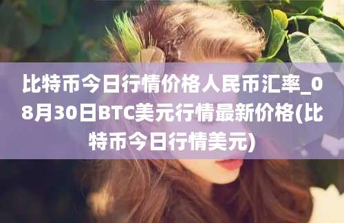 比特币今日行情价格人民币汇率_08月30日BTC美元行情最新价格(比特币今日行情美元)