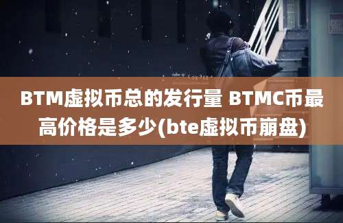 BTM虚拟币总的发行量 BTMC币最高价格是多少(bte虚拟币崩盘)