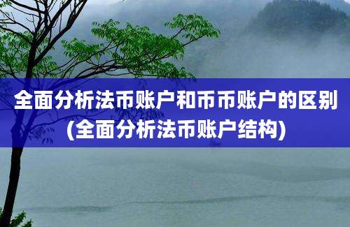 全面分析法币账户和币币账户的区别(全面分析法币账户结构)