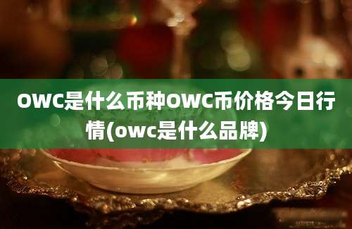 OWC是什么币种OWC币价格今日行情(owc是什么品牌)