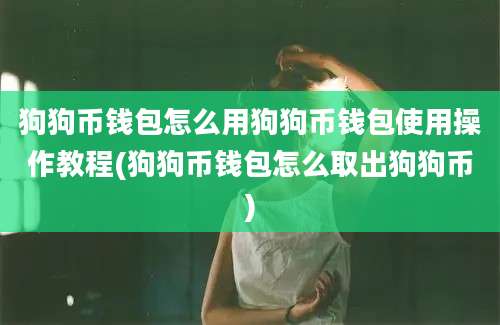 狗狗币钱包怎么用狗狗币钱包使用操作教程(狗狗币钱包怎么取出狗狗币)