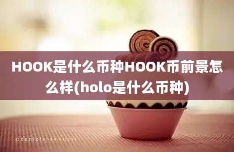 HOOK是什么币种HOOK币前景怎么样(holo是什么币种)