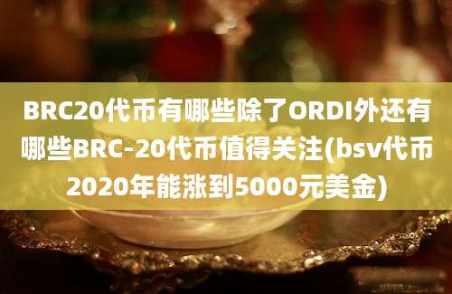 BRC20代币有哪些除了ORDI外还有哪些BRC-20代币值得关注(bsv代币2020年能涨到5000元美金)