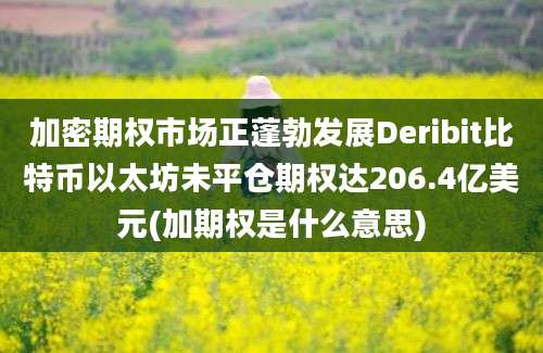 加密期权市场正蓬勃发展Deribit比特币以太坊未平仓期权达206.4亿美元(加期权是什么意思)