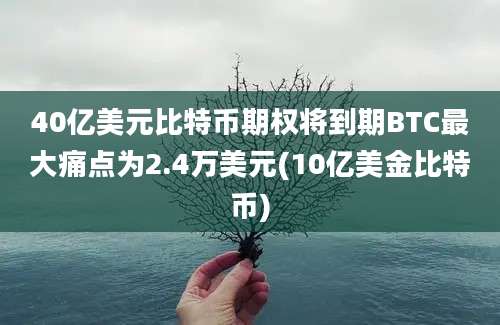 40亿美元比特币期权将到期BTC最大痛点为2.4万美元(10亿美金比特币)