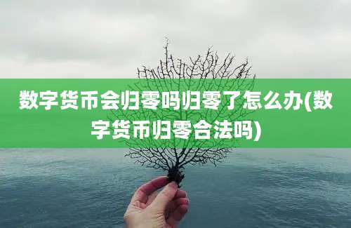 数字货币会归零吗归零了怎么办(数字货币归零合法吗)