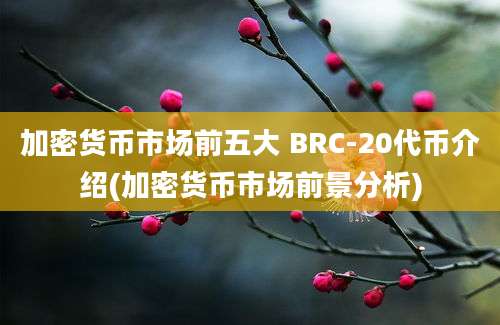 加密货币市场前五大 BRC-20代币介绍(加密货币市场前景分析)