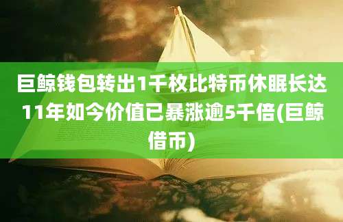 巨鲸钱包转出1千枚比特币休眠长达11年如今价值已暴涨逾5千倍(巨鲸借币)