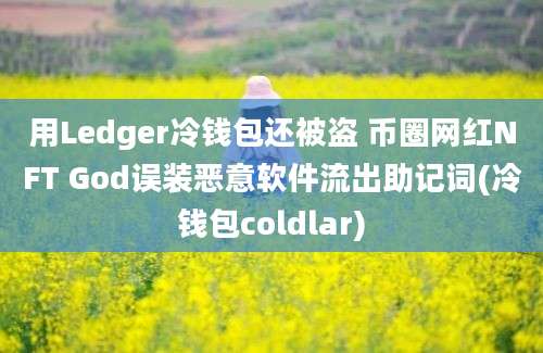 用Ledger冷钱包还被盗 币圈网红NFT God误装恶意软件流出助记词(冷钱包coldlar)