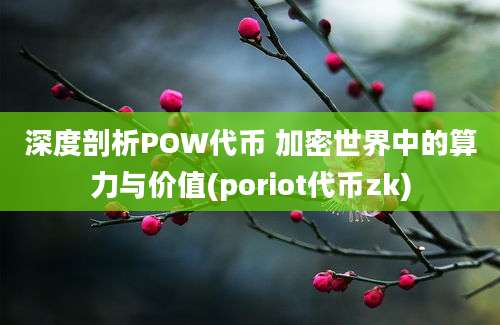 深度剖析POW代币 加密世界中的算力与价值(poriot代币zk)