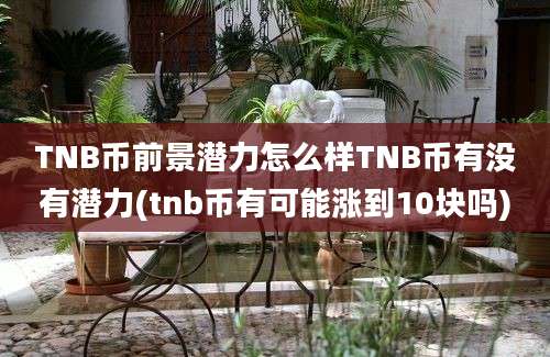 TNB币前景潜力怎么样TNB币有没有潜力(tnb币有可能涨到10块吗)