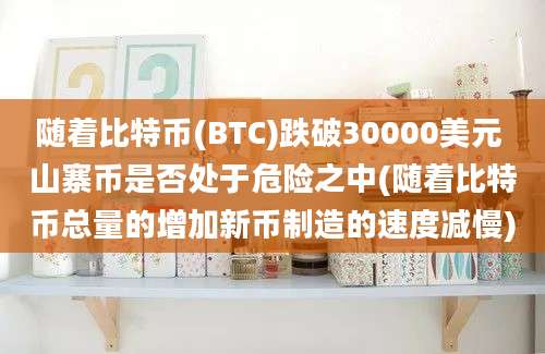 随着比特币(BTC)跌破30000美元 山寨币是否处于危险之中(随着比特币总量的增加新币制造的速度减慢)