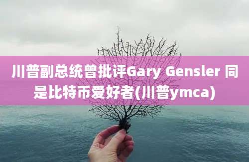 川普副总统曾批评Gary Gensler 同是比特币爱好者(川普ymca)