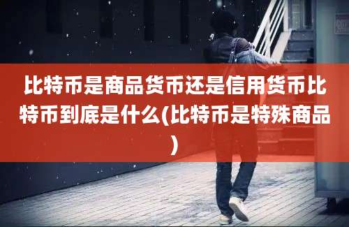 比特币是商品货币还是信用货币比特币到底是什么(比特币是特殊商品)