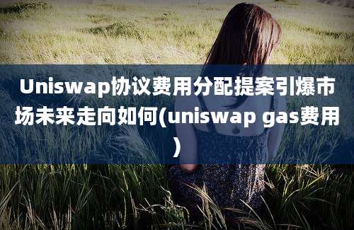 Uniswap协议费用分配提案引爆市场未来走向如何(uniswap gas费用)