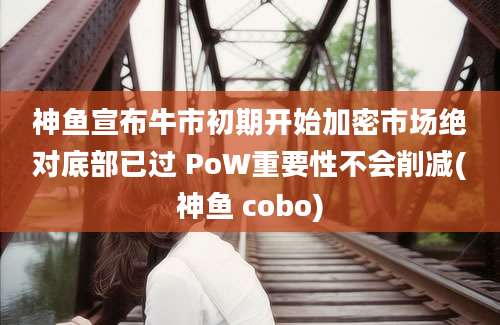 神鱼宣布牛市初期开始加密市场绝对底部已过 PoW重要性不会削减(神鱼 cobo)