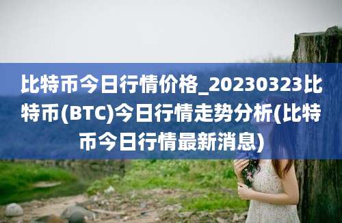 比特币今日行情价格_20230323比特币(BTC)今日行情走势分析(比特币今日行情最新消息)