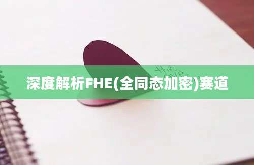 深度解析FHE(全同态加密)赛道