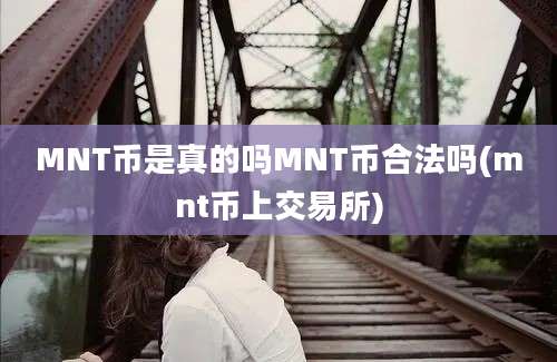 MNT币是真的吗MNT币合法吗(mnt币上交易所)