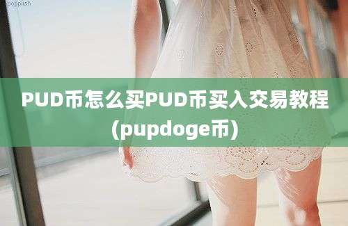 PUD币怎么买PUD币买入交易教程(pupdoge币)