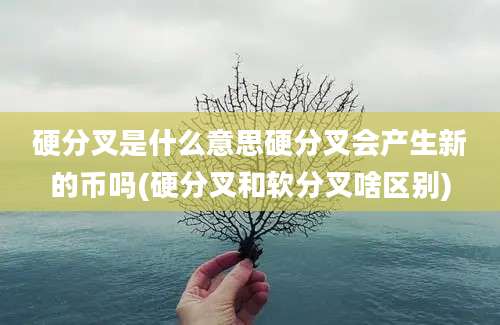 硬分叉是什么意思硬分叉会产生新的币吗(硬分叉和软分叉啥区别)