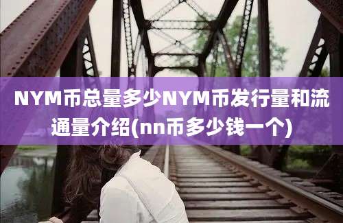 NYM币总量多少NYM币发行量和流通量介绍(nn币多少钱一个)