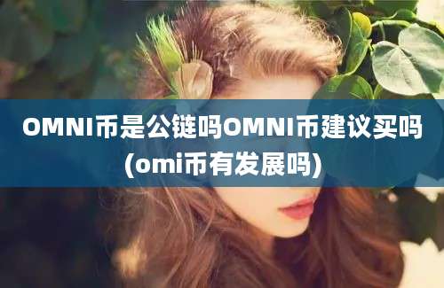 OMNI币是公链吗OMNI币建议买吗(omi币有发展吗)