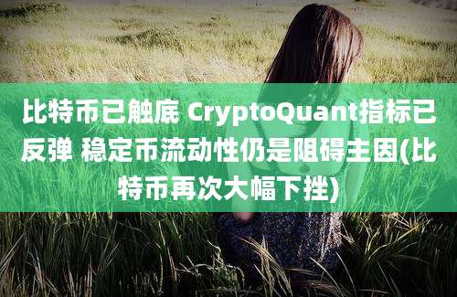 比特币已触底 CryptoQuant指标已反弹 稳定币流动性仍是阻碍主因(比特币再次大幅下挫)