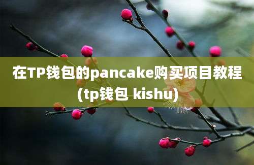 在TP钱包的pancake购买项目教程(tp钱包 kishu)