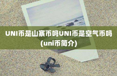 UNI币是山寨币吗UNI币是空气币吗(uni币简介)