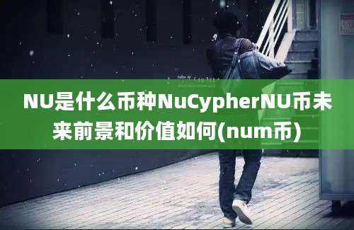 NU是什么币种NuCypherNU币未来前景和价值如何(num币)