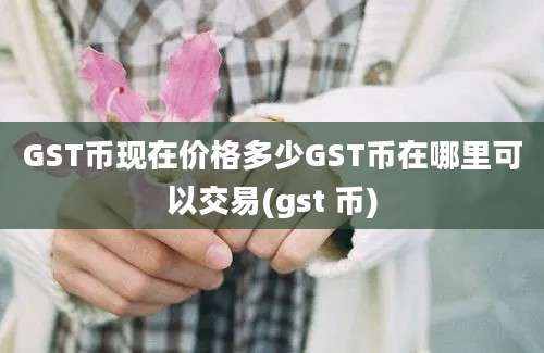 GST币现在价格多少GST币在哪里可以交易(gst 币)