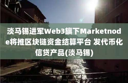 淡马锡进军Web3旗下Marketnode将推区块链资金结算平台 发代币化信贷产品(淡马锡)