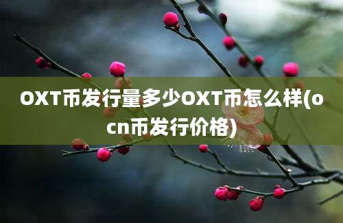 OXT币发行量多少OXT币怎么样(ocn币发行价格)