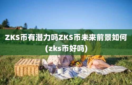 ZKS币有潜力吗ZKS币未来前景如何(zks币好吗)