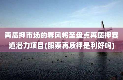 再质押市场的春风将至盘点再质押赛道潜力项目(股票再质押是利好吗)