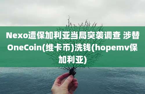 Nexo遭保加利亚当局突袭调查 涉替OneCoin(维卡币)洗钱(hopemv保加利亚)