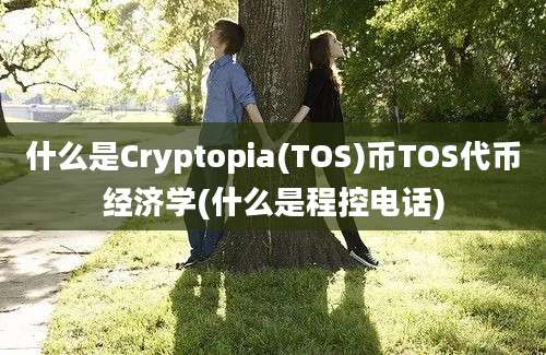 什么是Cryptopia(TOS)币TOS代币经济学(什么是程控电话)