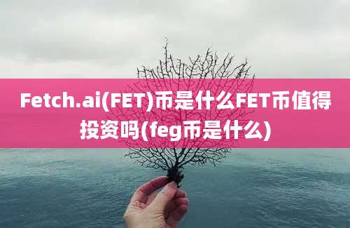 Fetch.ai(FET)币是什么FET币值得投资吗(feg币是什么)