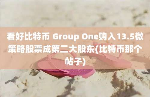 看好比特币 Group One购入13.5微策略股票成第二大股东(比特币那个帖子)