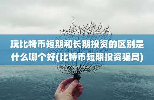 玩比特币短期和长期投资的区别是什么哪个好(比特币短期投资骗局)