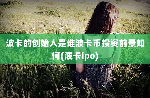 波卡的创始人是谁波卡币投资前景如何(波卡ipo)