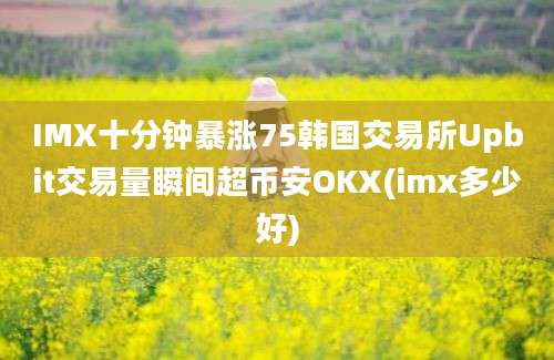 IMX十分钟暴涨75韩国交易所Upbit交易量瞬间超币安OKX(imx多少好)